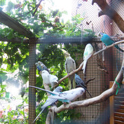 Neue-Bilder-7404