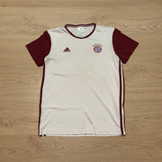 bayern-16-train