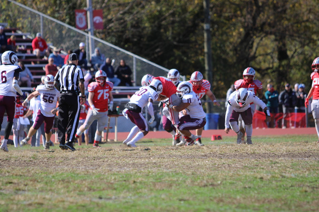IMG-1517