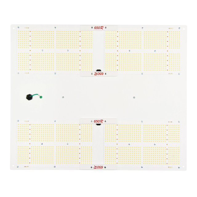 hlg1
