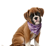 136000612-6217362-Hercules