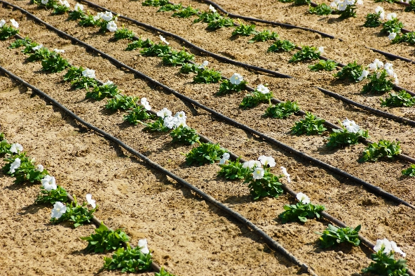 Irrigation-supplies-Perth