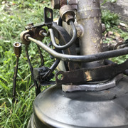 IMG-6541