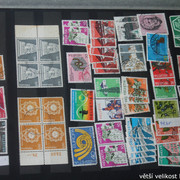 IMG-3644
