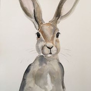 Hare-12