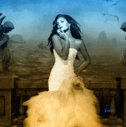 6.gif