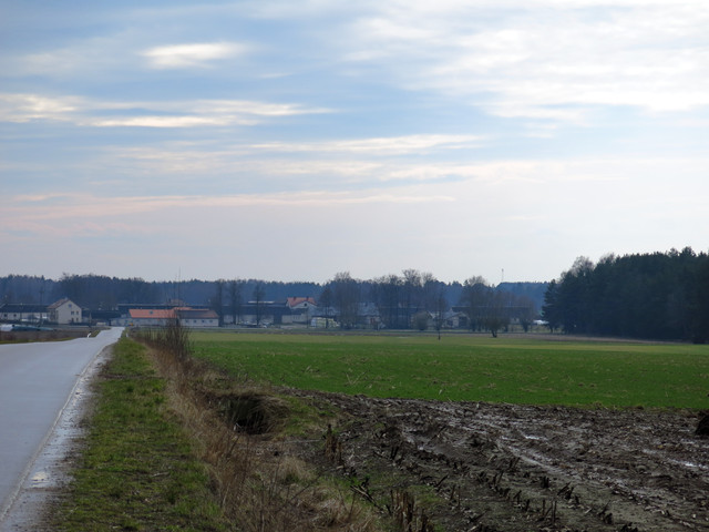 IMG-4437