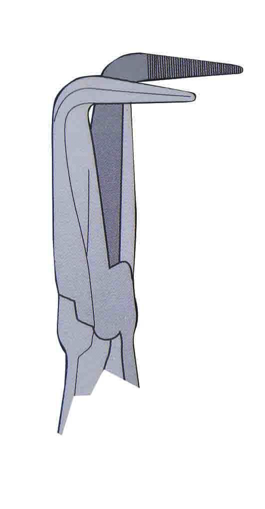 rg7469-2