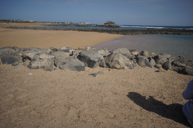 DSC01047.jpg
