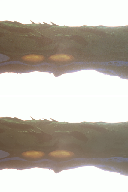 11.png