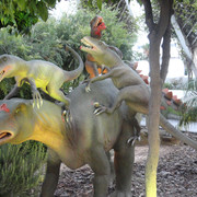 Velociraptors