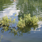DSC5302-result