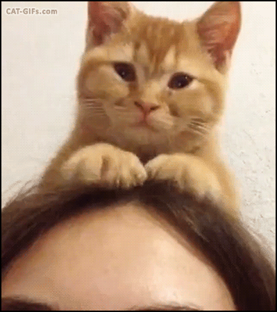 2366bfcf1005a062986b5882ee27ec37