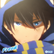 haruka-ed