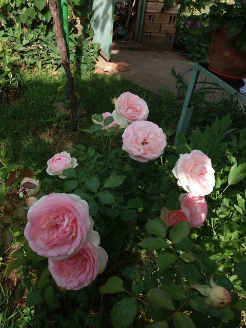 20180531-082304