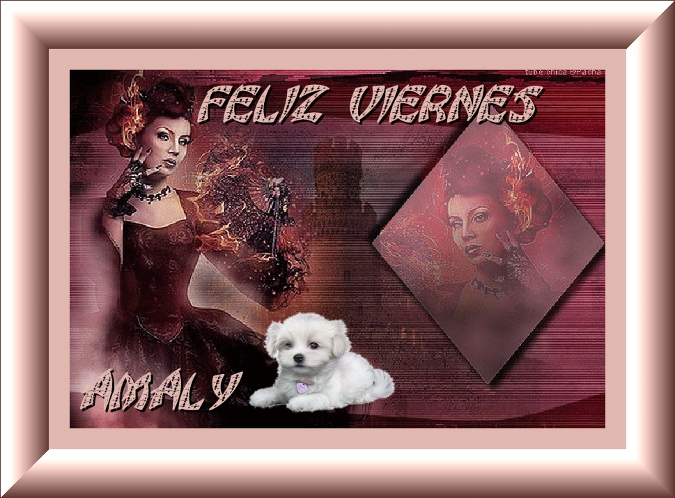 Imagen1vvvvvvvvvvvvvvvvv