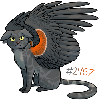 Pet Image