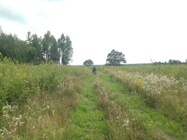 IMG-3987.jpg