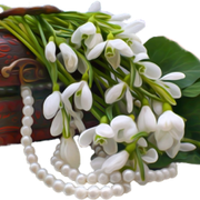 Woman-Accessories-2-225