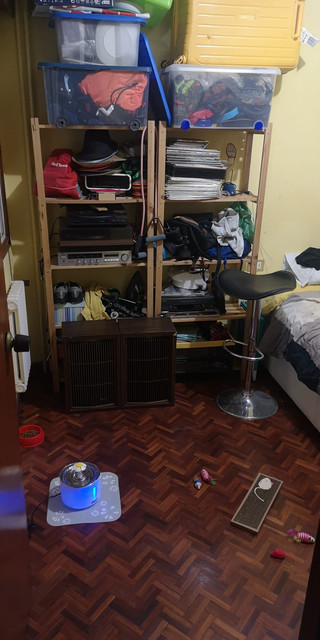 [Imagen: Foto-2.jpg]
