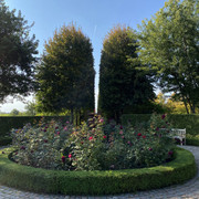 IMG-0555