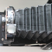 IMG-1542