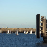 IMGP6882