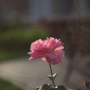 img-2930