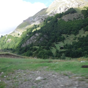 DSCF6227