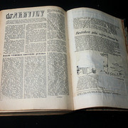 IMG-3819