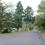 2012-10-06-047