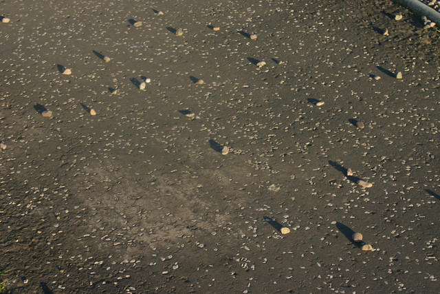 IMG-0391