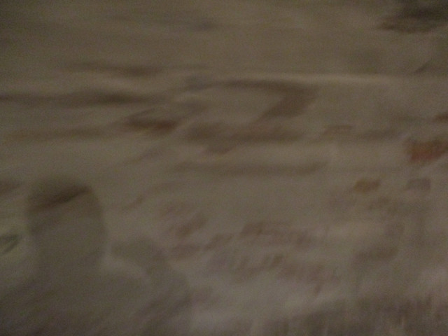 IMG-6925