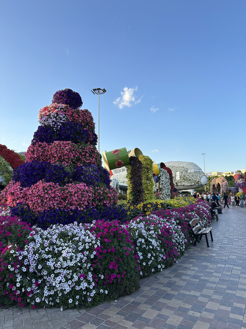IMG-4226