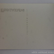 IMG-0348
