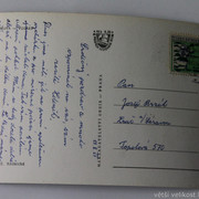 IMG-6498