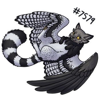 Pet Image