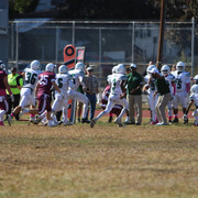 IMG-8427
