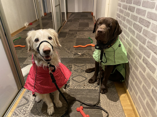 CEDF009-E-CB49-43-B4-AA7-F-4-B3717-E01-C