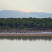 IMG-2413