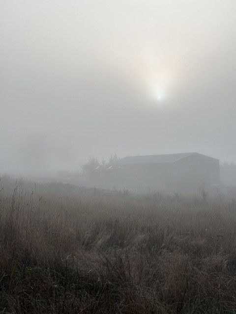 IMG-0324