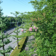 P1330436