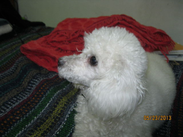 IMG 3268.jpg