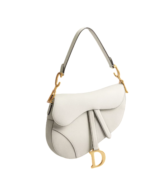 Dior Saddle bag with strap