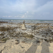 IMG 4531