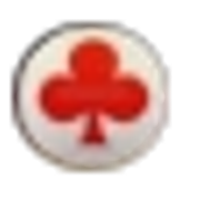 (3)