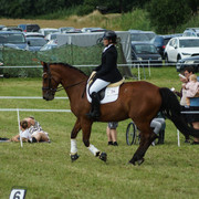 DSC05297