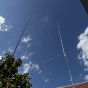 IMG 7456