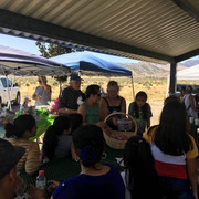 Picnic2018 (80)