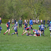 DSC 0177